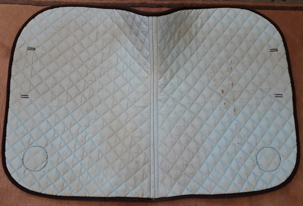 Suadouro azul para cavalo