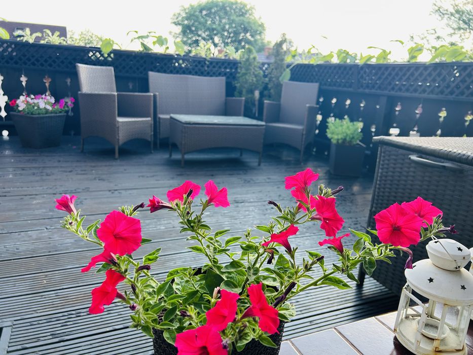 Centrum Karpacza Apartament Leonos z widokiem na Śnieżkę od 05.03