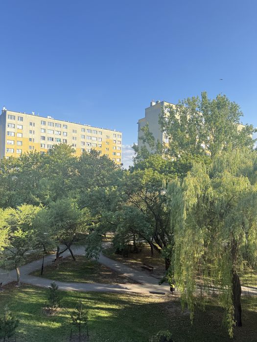 Mieszkanie 3-pokojowe z balkonem - zielony LSM