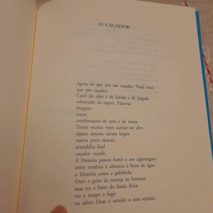 Livro " Doze Naus"