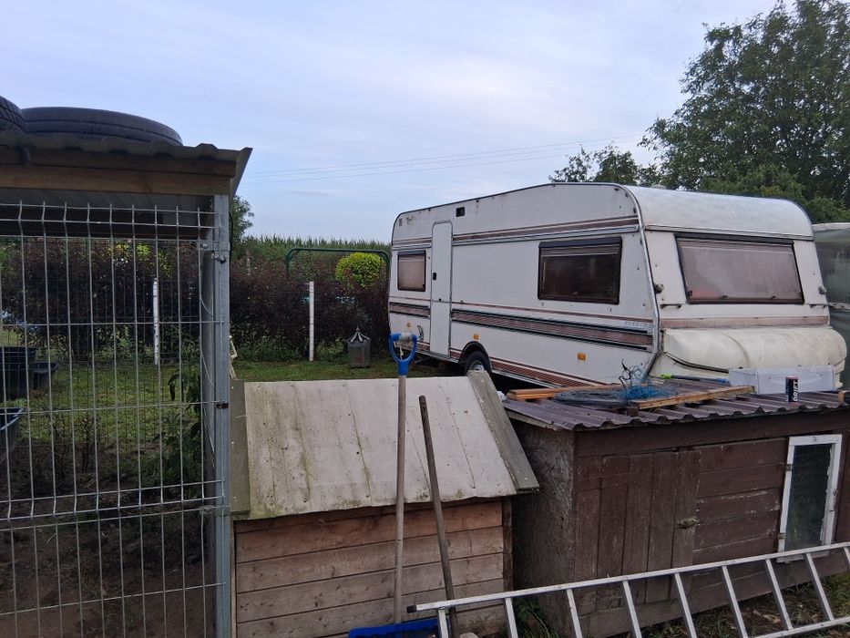 Keping do sprzedania