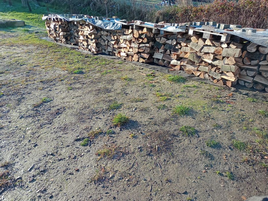 Drewno opałowe, Dąb, Buk, Sosna