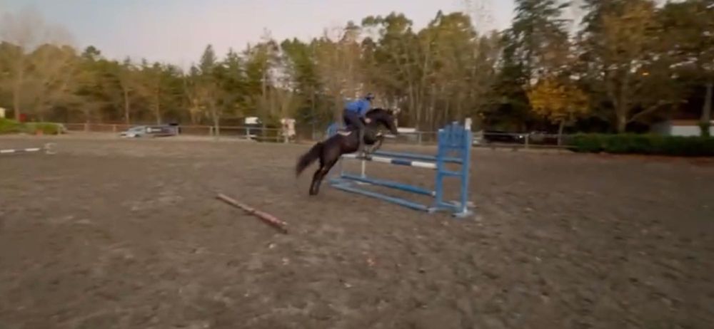 Ponei de obstáculos