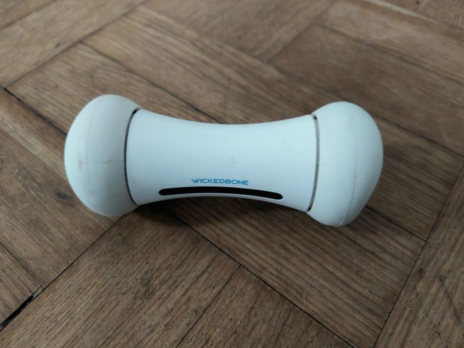 interaktywna zabawka dla psów Cheerble Wickedbone