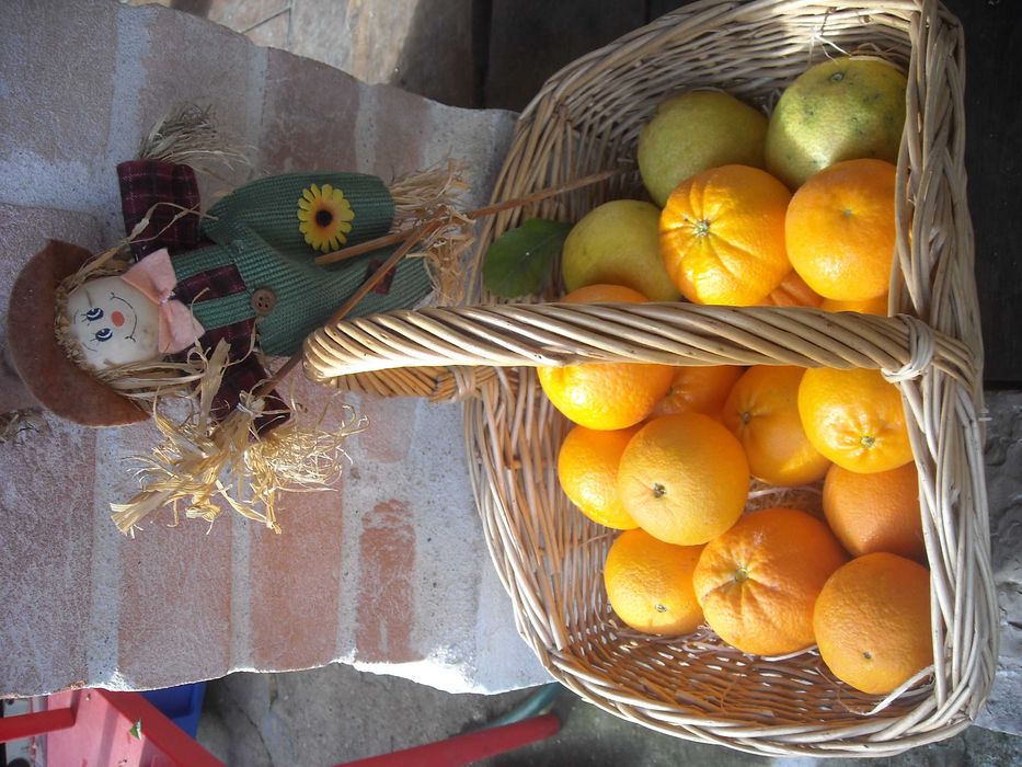 Laranjas limões ovos tomarilhos e chuchus  biológicos