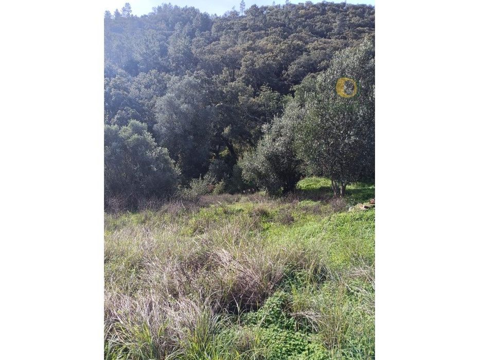 Terreno Venda Loulé