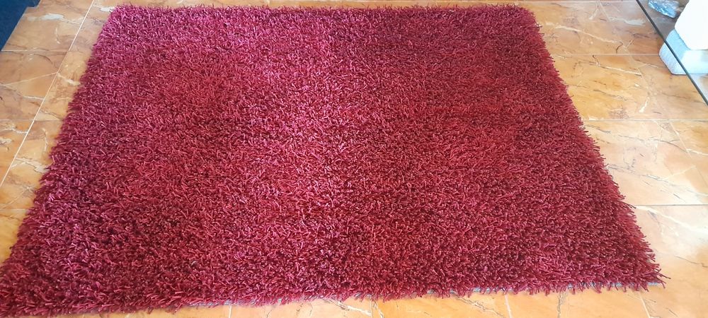 Living Room Carpet in Burgundy
