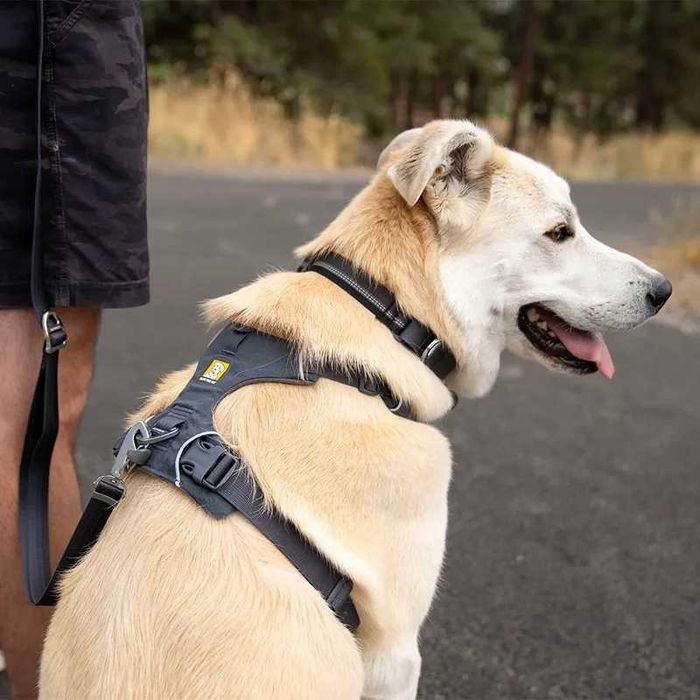 Ruffwear Front Range szelki dla psa, szare M