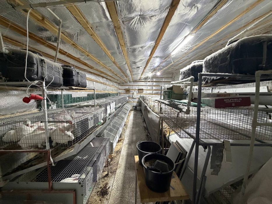 Продається обладнання (клітки і їх комплектуючі) для розведення кроля