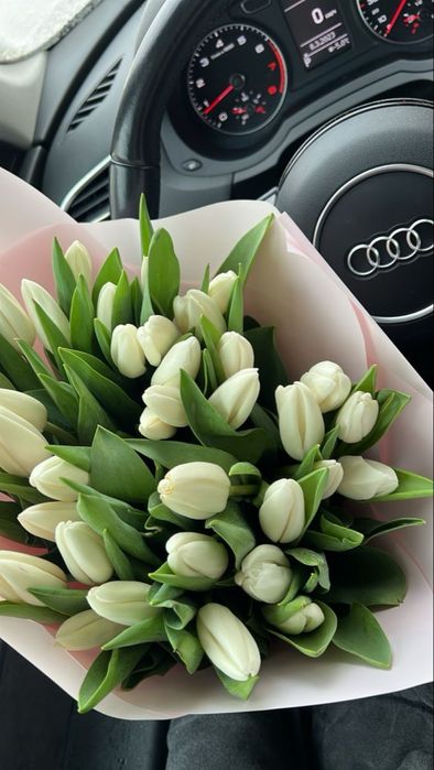 101 тюльпан  львів | ТЮЛЬПАНИ ЛЬВІВ | Тюльпани