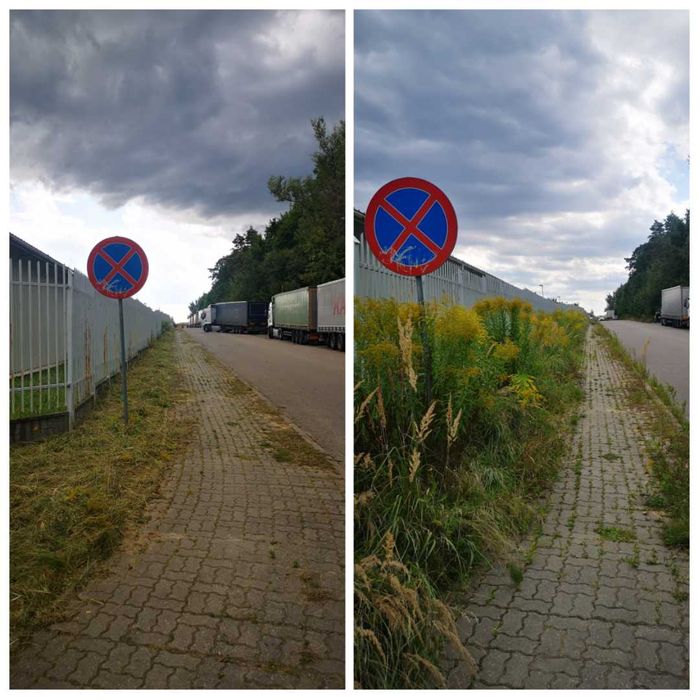 Usługi ogrodnicze