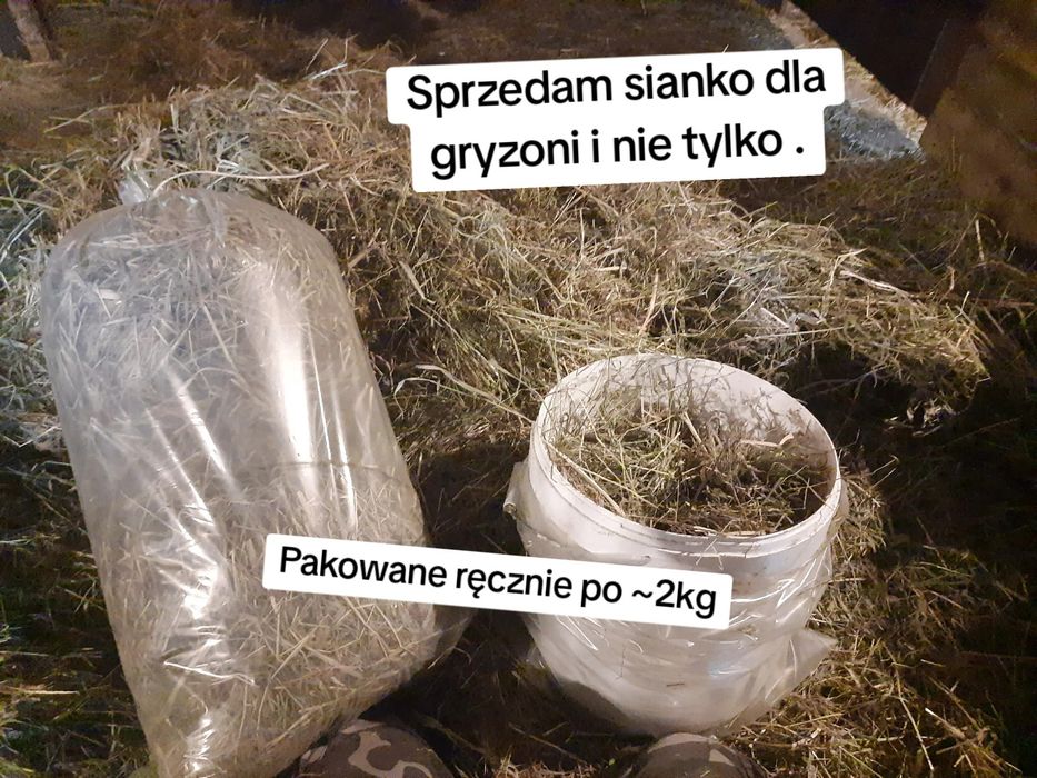 Siano 2026r dla gryzoni i nietylko