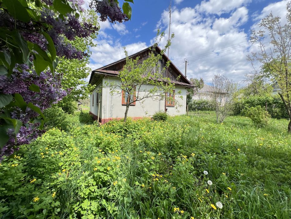 Будинок в селі Острів  поруч сосновий ліс та річка