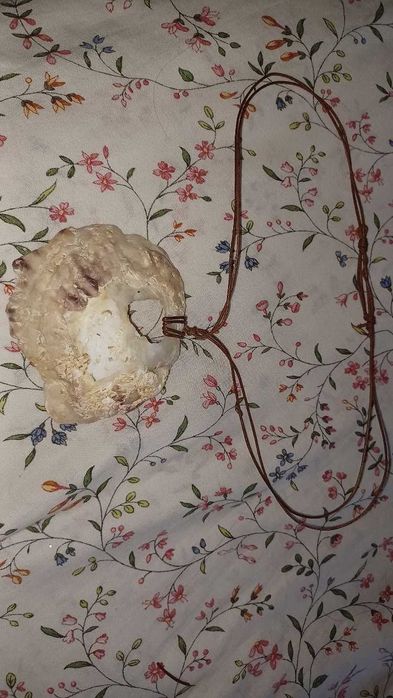 Colares artesanais de conchas e sementes