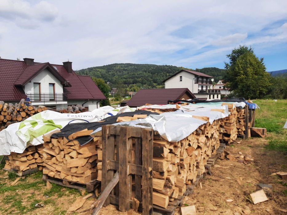 Dzrewo buk opalowy