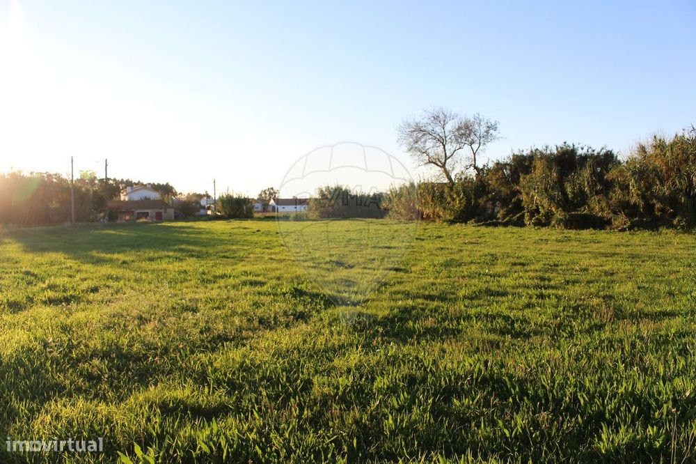 Terreno  para Venda — Tocha, Coimbra