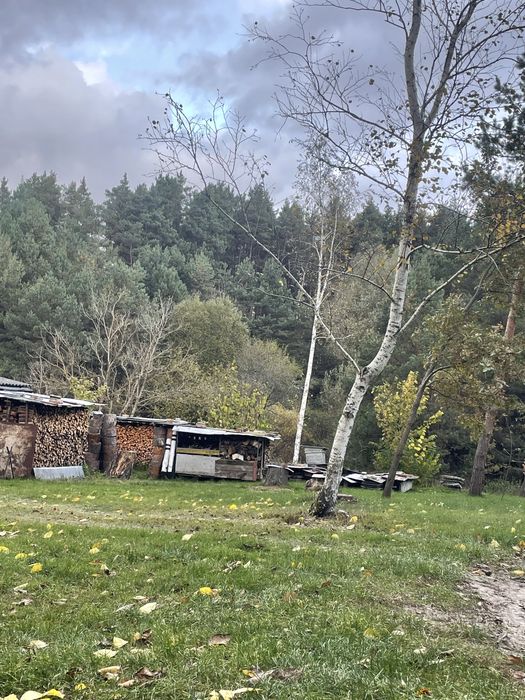 Будинок в лісі(!)