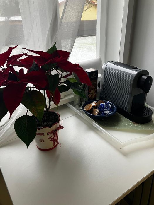 Domek z ogrodem  Kraków Swoszowice pobyty, spotkania rodzinne,