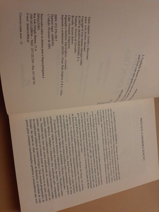 Cérebro e Emoções: o Computador Emocional