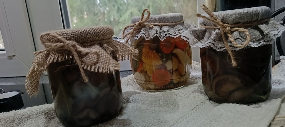 Borowik w zalewie  750ml