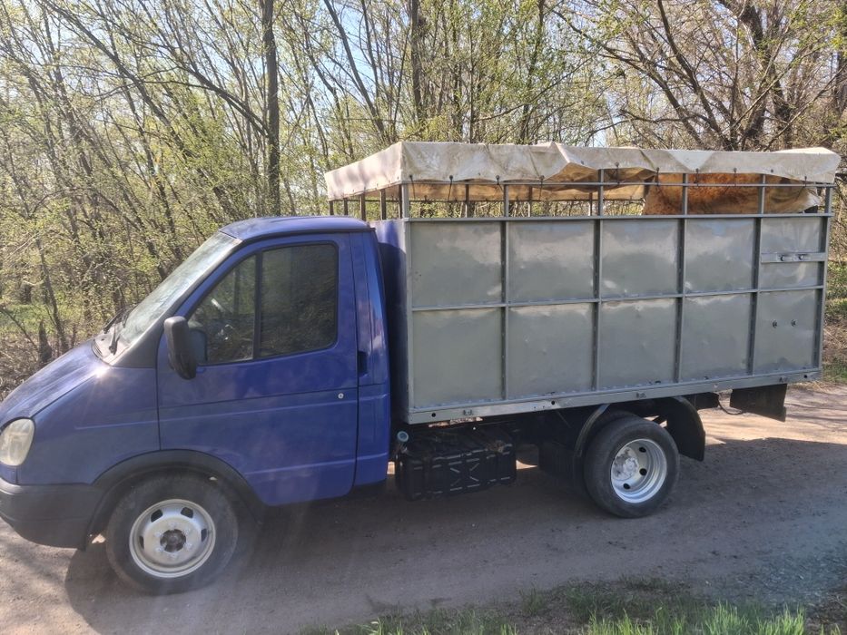 Продам Газель 3302 Дизель Ом602 По Тех Паспорту