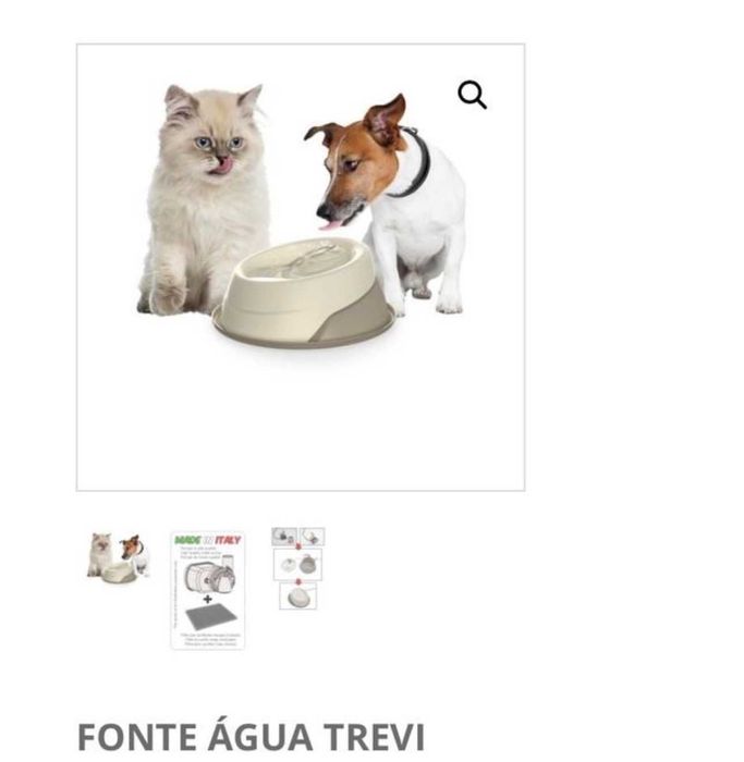 Fonte de Água/Bebedouro Electico Trevi - Novo