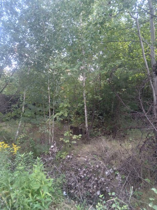 Терміново! 20 соток Земельна ділянка! Торг