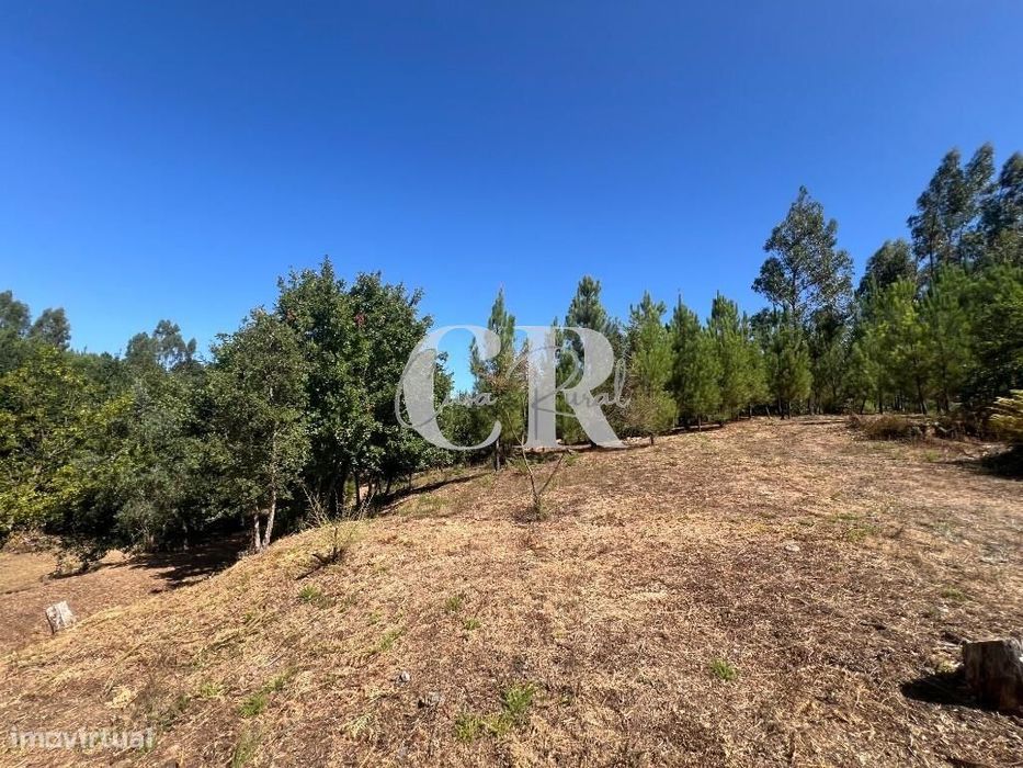 Casa de Pedra Renovada, Ruínas, Riacho, Poços e 15.570m2 de Terreno na