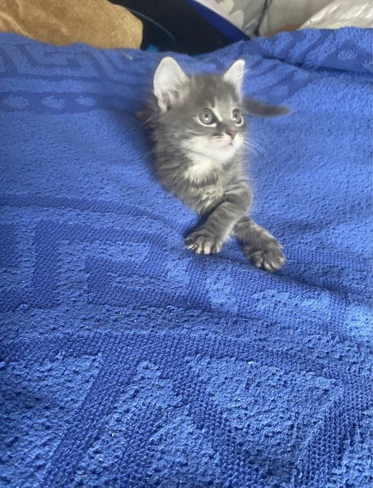 Такой красивый мальчик