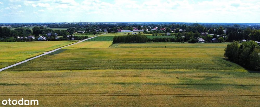 Działka, Jacków