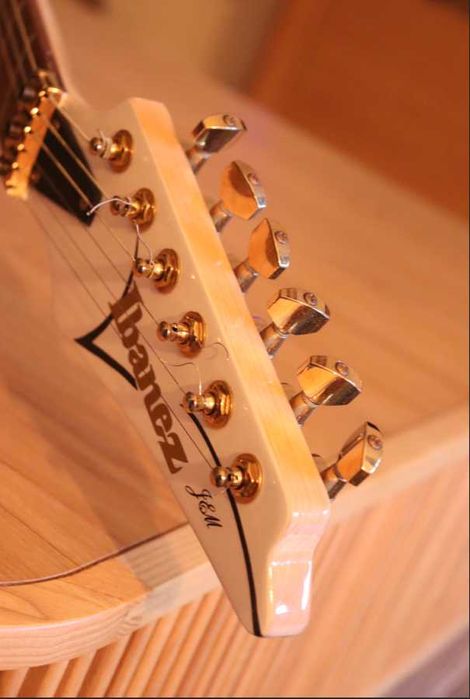 Guitarra Electrica - Custom Made Ibanez JEM - Tree of Life Inlay