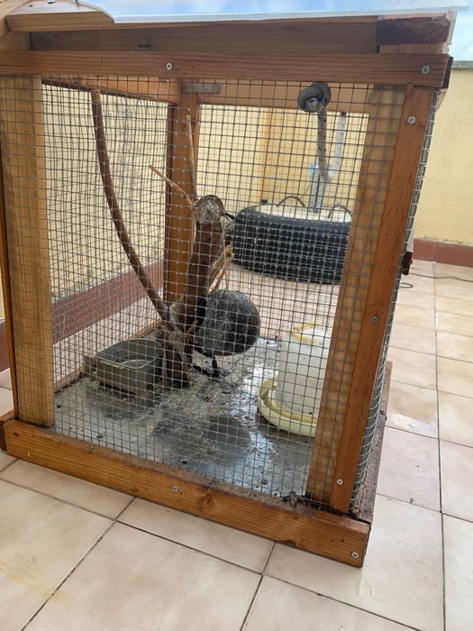 Gaiola para pássaros