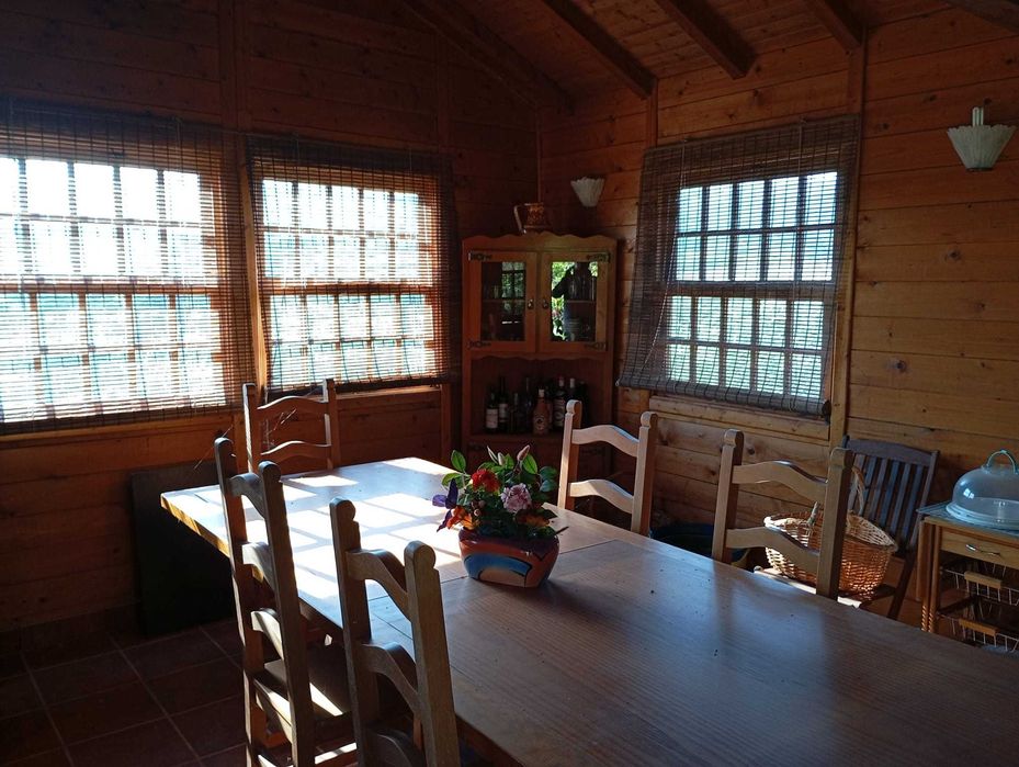 Quinta com 3 casas, vinha, olival e água em abundância, inclui recheio