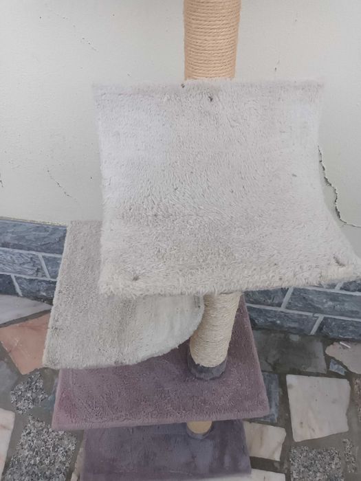 Arranhador de gatos