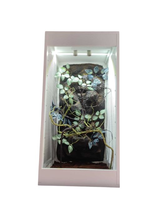 Terrarium nr716  tropikalne dla kameleona 50/50/100 DOSTĘPNE