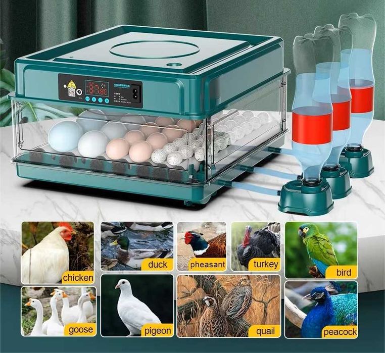 Chocadeira/Incubadora de 35 Ovos
