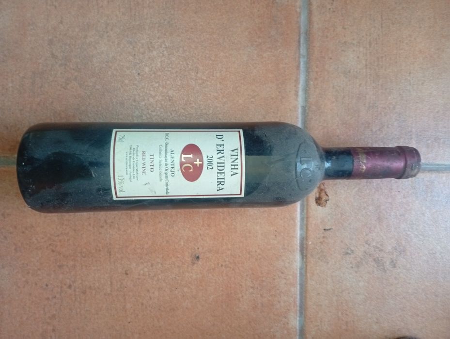 Vinhos antigos de várias regiões e castas