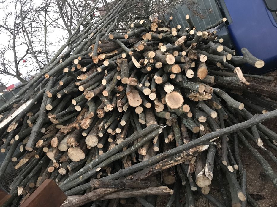 Дрова від 0,1м3 до 10м3 сухі