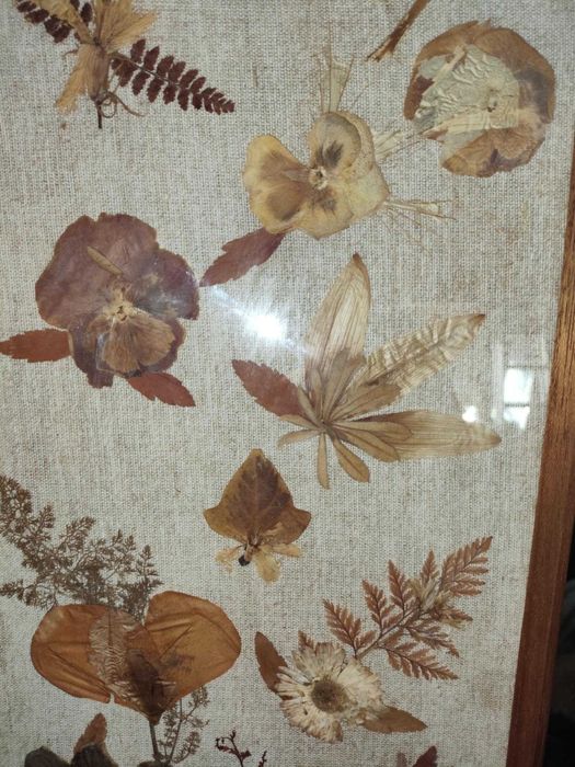 2 Quadros Antigos decorativos de flores secas