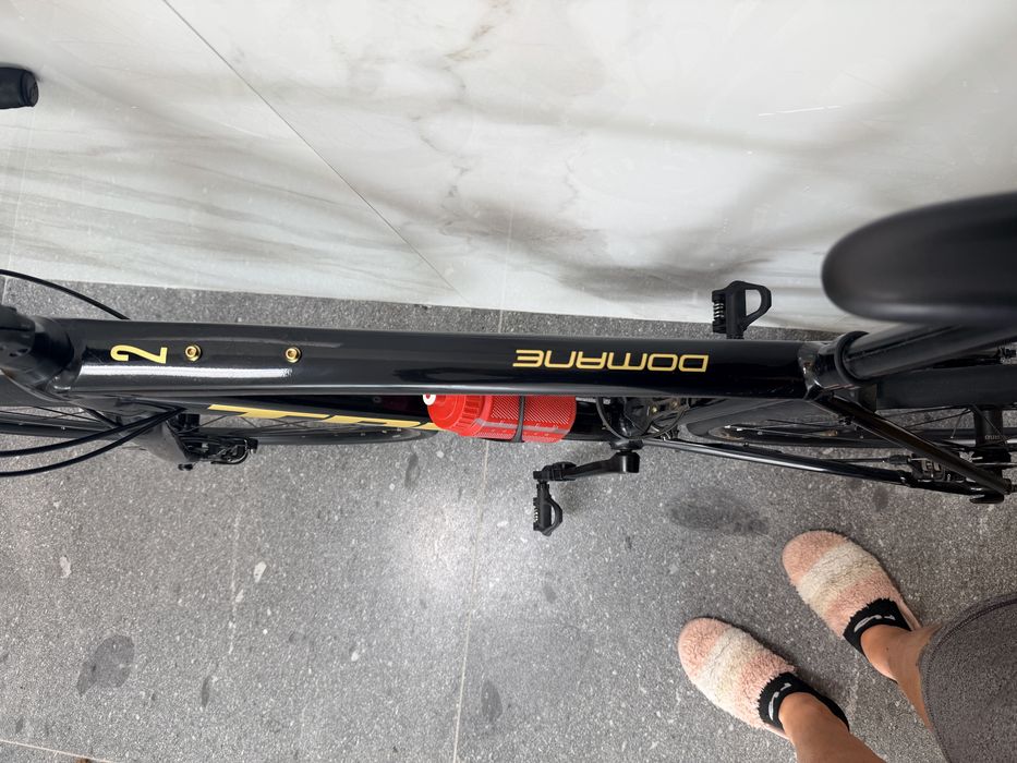 Trek domane AL 2