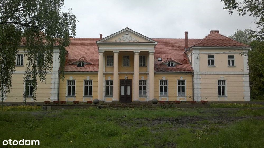 Pałac w Drobninie na Sprzedaż, pow 956 m2