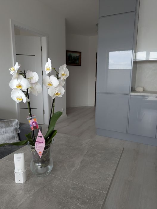 Apartament do wynajęcia przy Zalewie Hancza.