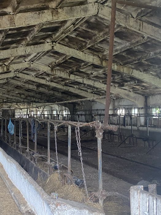 Продам корівник, Клюшечник 21й, 18й