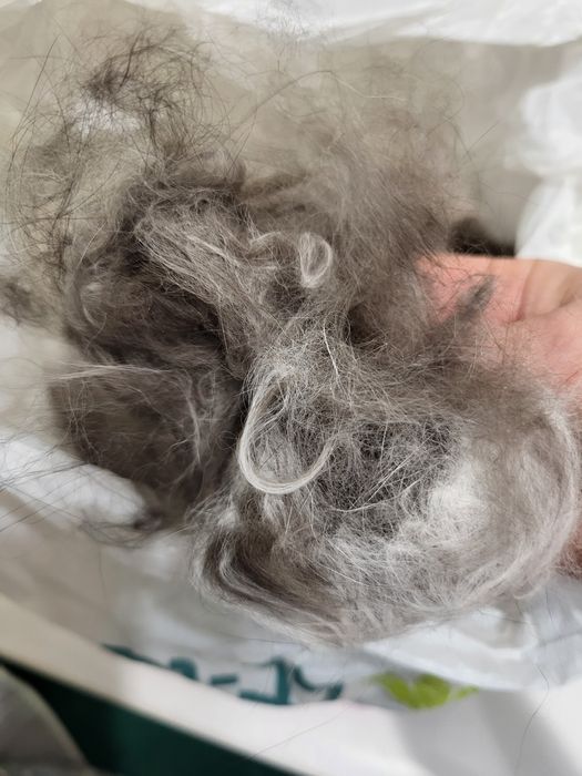 Шерсть кота, підшерсть, кошачья шерсть, подшерсток