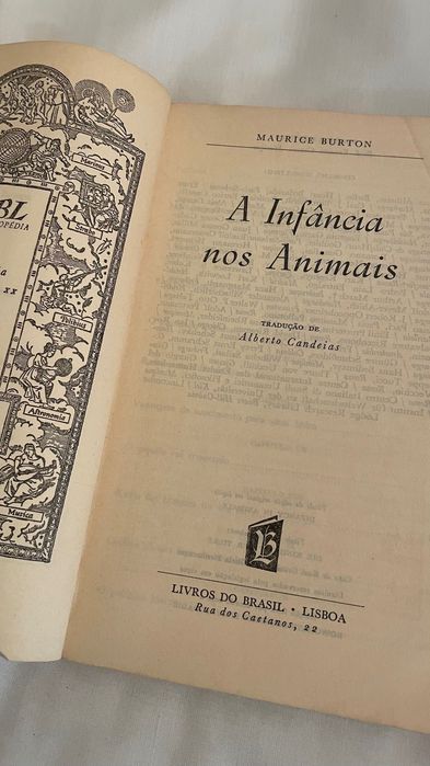 Livro A Infância Nos Animais