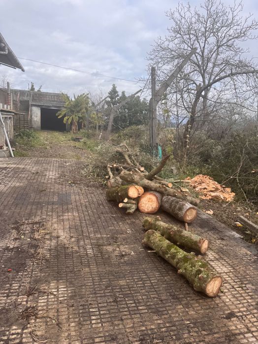 Quinta em Braga T8 com poço de água