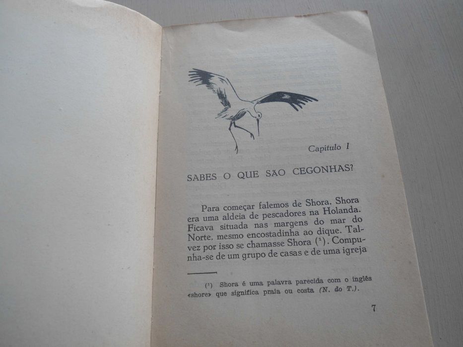 O ninho das Cegonhas por Meindert De Jong