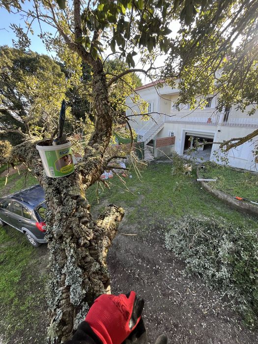 Serviços agricolas e florestais / jardins / corte de arvores/ vedacoes