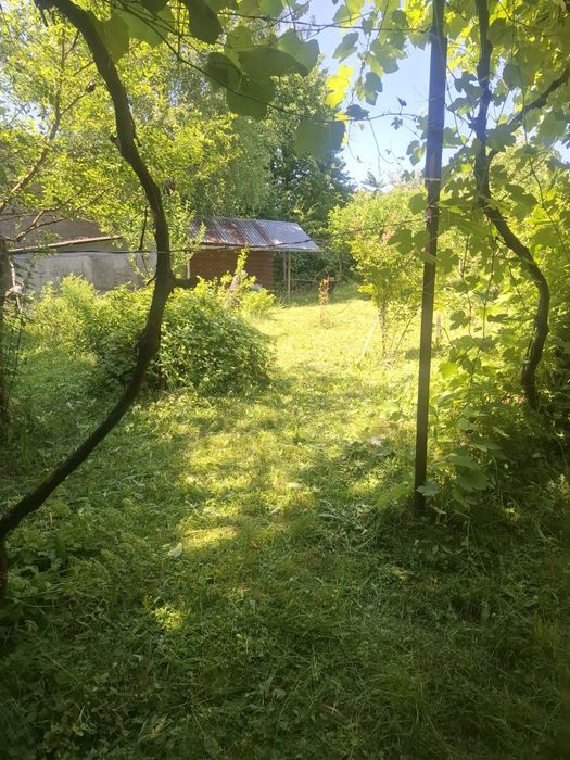 Земельна ділянка