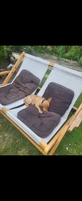 Meble ogrodowe,leżaki